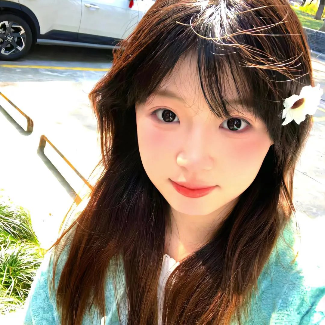 鸟与蜜蜂